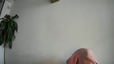 Snapshot of evacollins12 chatting on 02-15-25, 07:50 evacollins12 online show from 02-15-25, 07:50