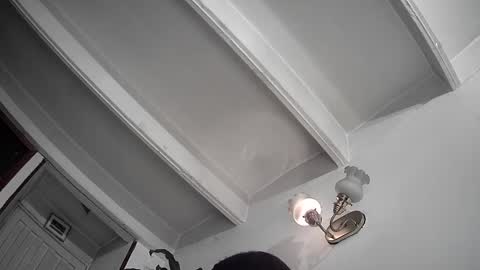 Snapshot of evacollins12 chatting on 02-25-25, 12:36 evacollins12 online show from 02-25-25, 12:36