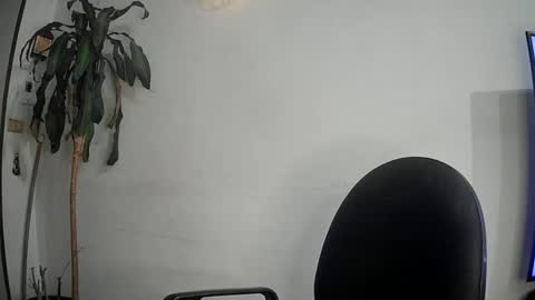 Snapshot of evacollins12 chatting on 03-12-25, 02:41 evacollins12 online show from 03-12-25, 02:41