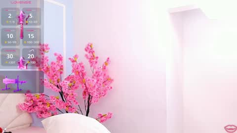 evahalston online show from 01-16-25, 07:31