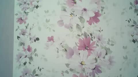 Evelina online show from 04-06-26, 01:01