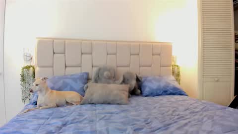 even_scoty online show from 10-25-25, 12:23