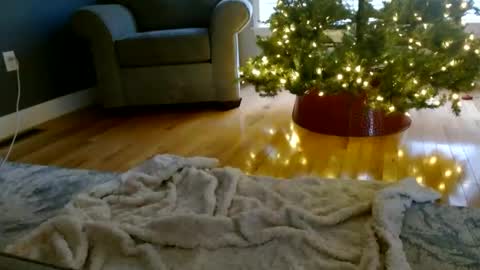 Snapshot of everleighmae chatting on 12-09-24, 01:24 Everleighmae online show from 12-09-24, 01:24