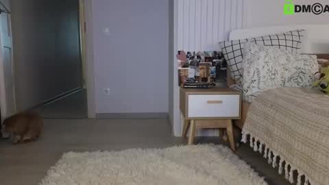 Snapshot of evi_woow chatting on 02-22-25, 05:13 evi_woow online show from 02-22-25, 05:13