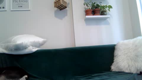 Snapshot of evillers1 chatting on 09-22-25, 08:55 Badblondebunny online show from 09-22-25, 08:55