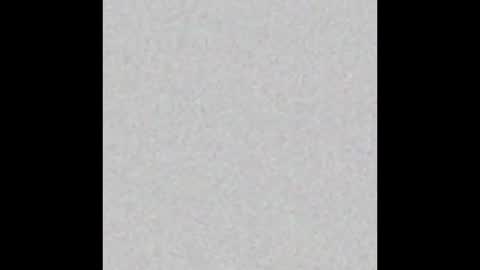 Kevin online show from 10-26-25, 05:52