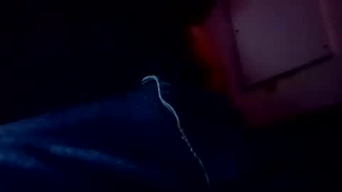 Evocation online show from 02-03-25, 04:57