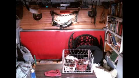 Snapshot of evpierce chatting on 03-30-26, 04:24 EvPierce online show from 03-30-26, 04:24