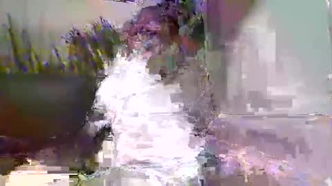 Snapshot of ewaldwillems99 chatting on 02-09-26, 03:49 Naaktloper online show from 02-09-26, 03:49