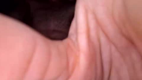 Snapshot of exhibboytoy3 chatting on 03-24-26, 07:24 Exhibboytoy3 online show from 03-24-26, 07:24