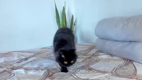 -  A N D E R online show from 01-07-26, 08:00