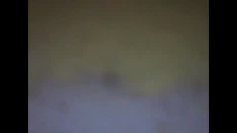 Snapshot of fafafa923 chatting on 01-12-25, 11:15 fafafa923 online show from 01-12-25, 11:15