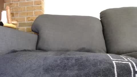 Snapshot of fafnir1278 chatting on 01-20-25, 06:10 fafnir1278 online show from 01-20-25, 06:10