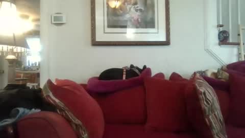 Snapshot of fairmount31 chatting on 11-07-25, 07:25 fairmount31 online show from 11-07-25, 07:25