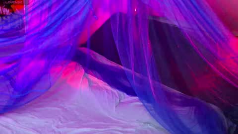 Snapshot of fantastic_fairy chatting on 11-14-25, 10:18 Fairy online show from 11-14-25, 10:18