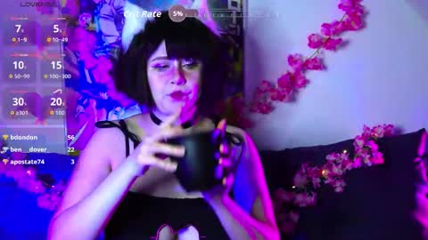 Snapshot of fantastic_fairy chatting on 12-04-25, 11:35 Fairy online show from 12-04-25, 11:35