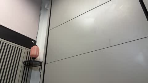 Gattino online show from 12-13-24, 12:06