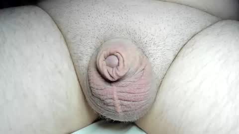 Snapshot of fatmanscock chatting on 12-08-24, 04:04 Fatmanscock online show from 12-08-24, 04:04