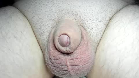 Snapshot of fatmanscock chatting on 12-08-24, 07:05 Fatmanscock online show from 12-08-24, 07:05