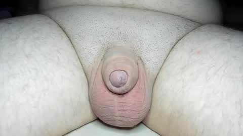 Snapshot of fatmanscock chatting on 01-28-25, 05:11 Fatmanscock online show from 01-28-25, 05:11