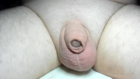 Snapshot of fatmanscock chatting on 02-04-25, 05:53 Fatmanscock online show from 02-04-25, 05:53