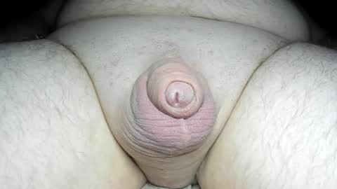 Snapshot of fatmanscock chatting on 02-20-25, 03:01 Fatmanscock online show from 02-20-25, 03:01