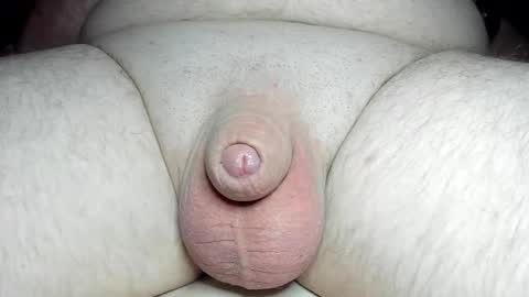 Snapshot of fatmanscock chatting on 03-05-25, 04:56 Fatmanscock online show from 03-05-25, 04:56