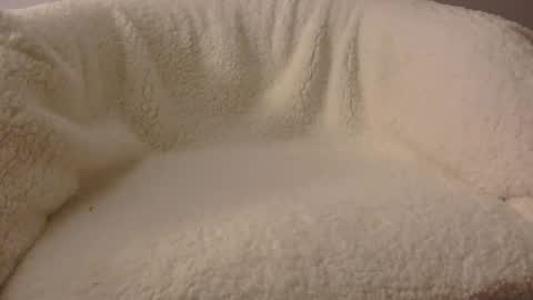 Snapshot of feels_too_good chatting on 04-09-26, 02:11 feels_too_good online show from 04-09-26, 02:11