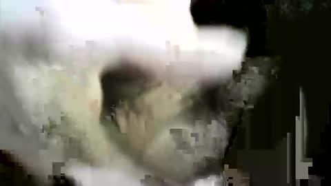 Snapshot of felicaste chatting on 12-02-25, 08:59 felicaste online show from 12-02-25, 08:59