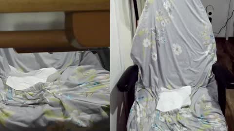 felixlau online show from 01-22-25, 12:06