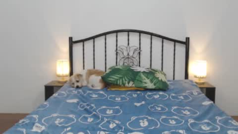 Snapshot of femininets69 chatting on 02-11-25, 11:22 kaylee online show from 02-11-25, 11:22