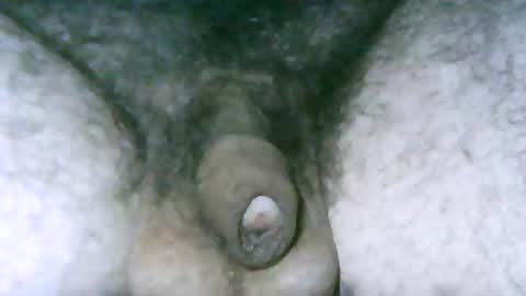 fer_2197 online show from 04-16-26, 11:22