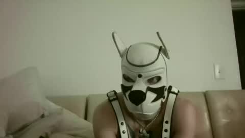 fetishsearch1abdl online show from 09-25-25, 11:03