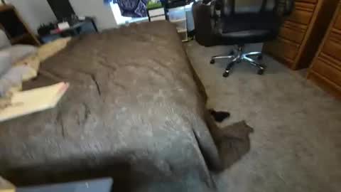 Snapshot of filfaonyx chatting on 11-04-25, 05:12 filfaonyx online show from 11-04-25, 05:12