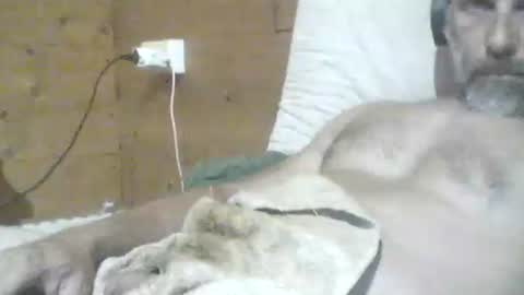 Snapshot of filip1981 chatting on 05-29-26, 07:34 filippo online show from 05-29-26, 07:34