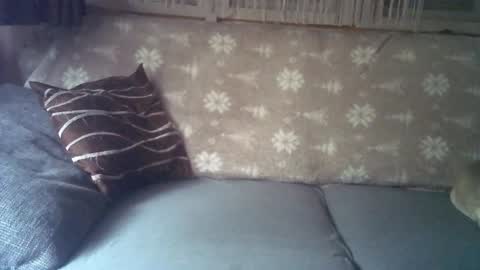 Jane and Findo online show from 01-06-25, 08:24