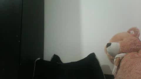 Snapshot of finnky1 chatting on 12-20-24, 01:43 finnky1 online show from 12-20-24, 01:43