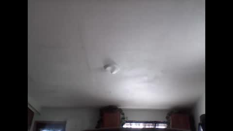 Brad online show from 11-29-25, 08:01