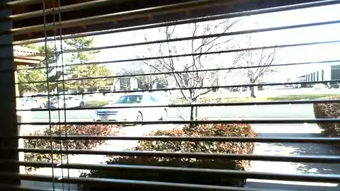 Snapshot of fit_hung_sub chatting on 01-09-25, 07:08 pain slut daren online show from 01-09-25, 07:08