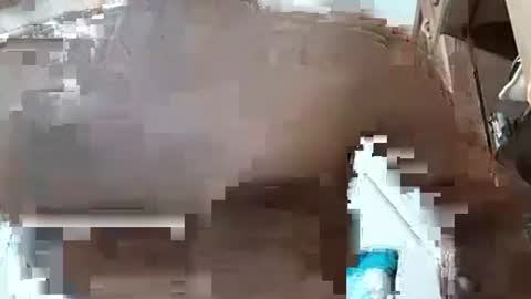 Snapshot of fitchestabs_69 chatting on 12-07-24, 03:25 fitchestabs_69 online show from 12-07-24, 03:25