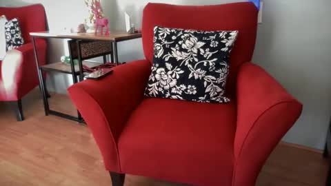 Snapshot of fitlance chatting on 12-06-24, 05:55 Lance Remington online show from 12-06-24, 05:55