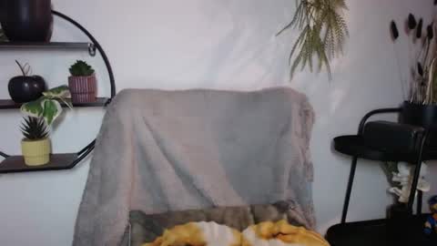 fitness1989 online show from 07-20-26, 08:55