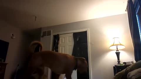 Snapshot of fkmylife6669 chatting on 02-28-25, 01:03 Nate online show from 02-28-25, 01:03