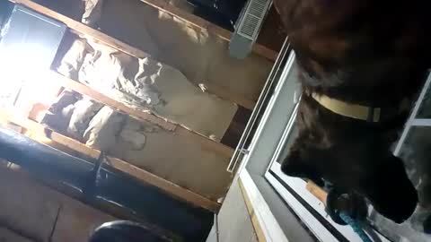 Snapshot of fkmylife6669 chatting on 09-25-25, 02:15 Nate online show from 09-25-25, 02:15