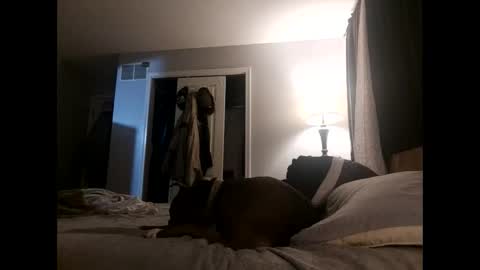 Snapshot of fkmylife6669 chatting on 11-02-25, 04:48 Nate online show from 11-02-25, 04:48