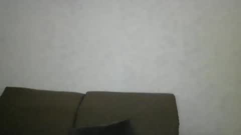 flamingo797424 online show from 01-25-25, 02:15