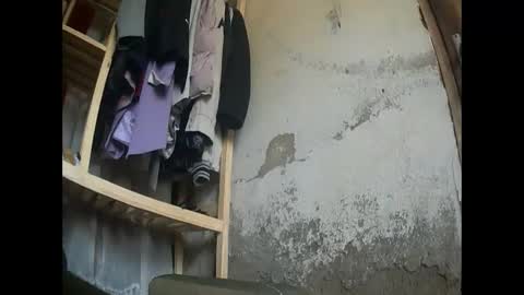 flowers555 online show from 02-06-25, 08:07