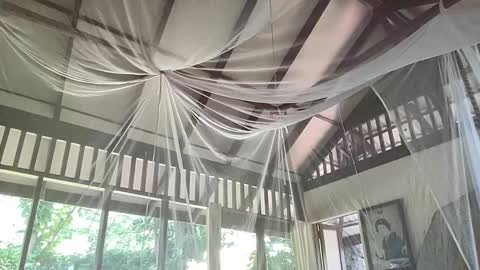 Snapshot of fluffy_bunnyxxx chatting on 02-06-25, 05:35 fluffy_bunnyxxx online show from 02-06-25, 05:35