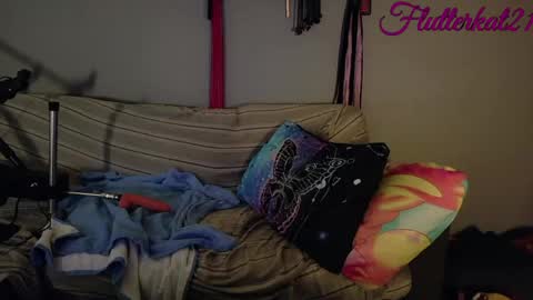 FlutterKat online show from 03-12-26, 03:29