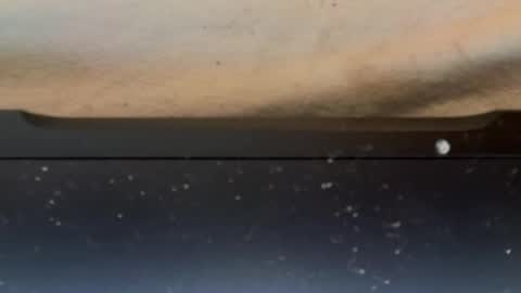 Snapshot of fofaozinho chatting on 02-14-25, 07:07 fofaozinho online show from 02-14-25, 07:07